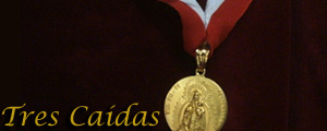 Medalla de Oro de Montemayor